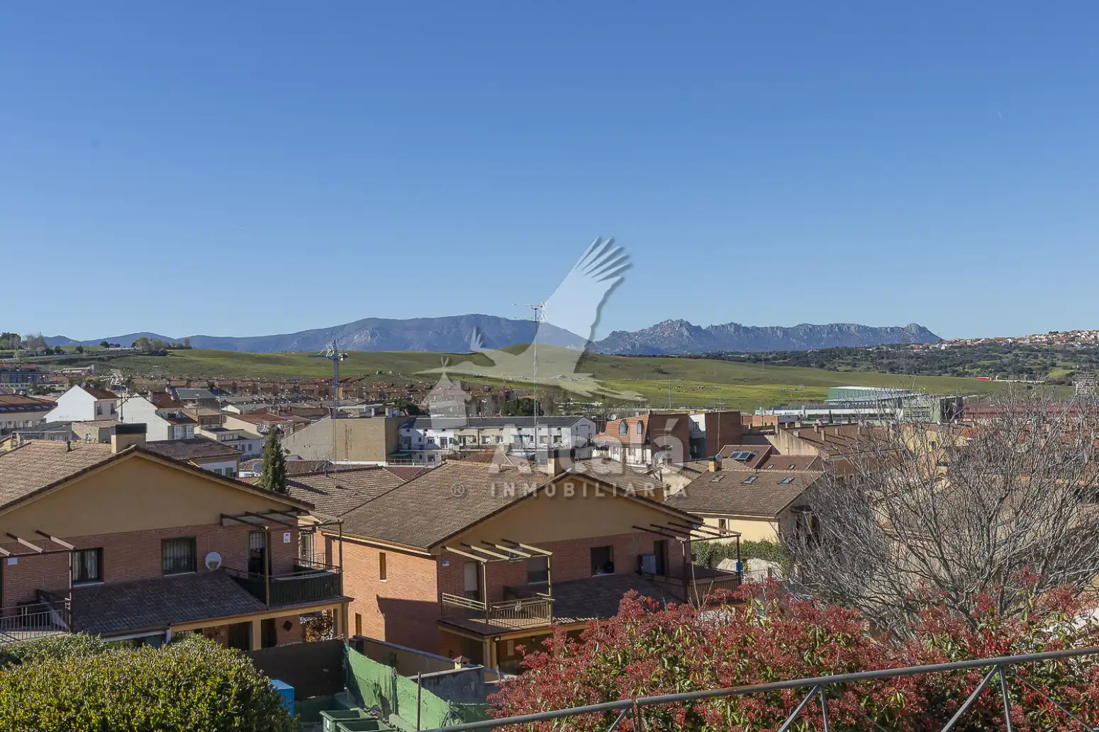Außenansicht von Haus oder Chalet zum Verkauf in El Molar (Madrid) mit Schwimmbad