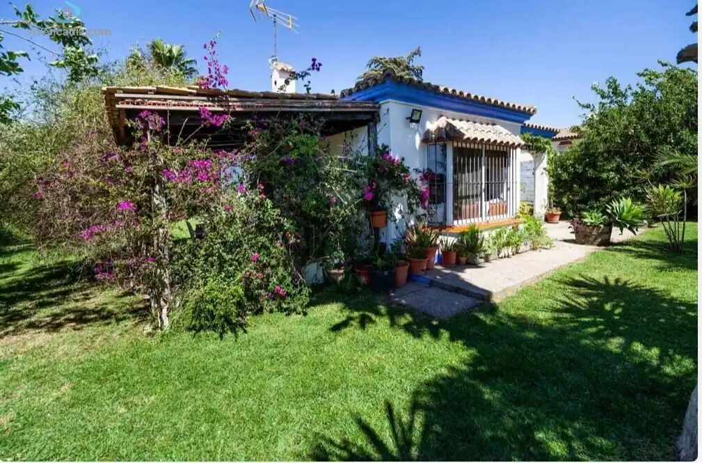 Jardí de Casa o xalet en venda en Chiclana de la Frontera amb Piscina