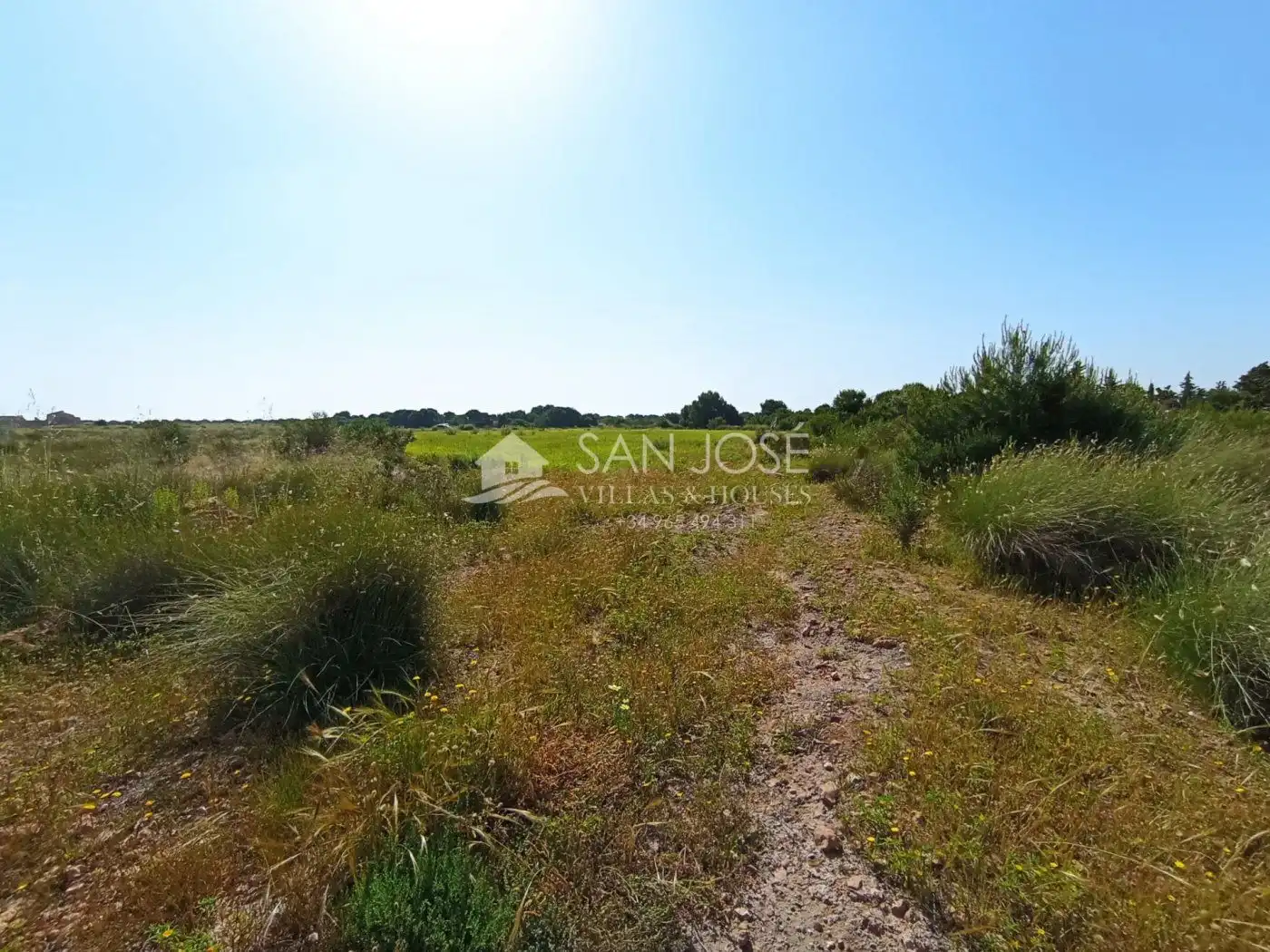 Terreno en venta en Elche / Elx