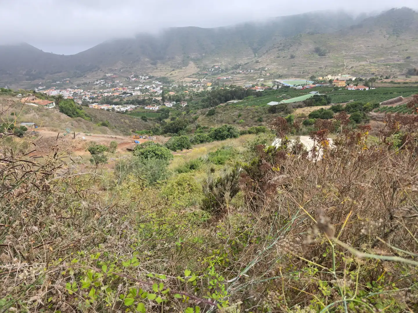 Rural land for sale in Camino las Peñuelas 11, imagen 21