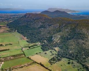 Terreny en venda en Alcúdia