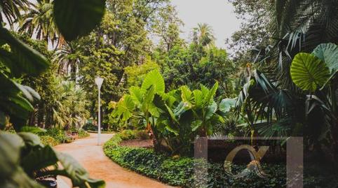 Foto 3 de Residencial en venda a Santa Cristina - San Rafael, Málaga Capital