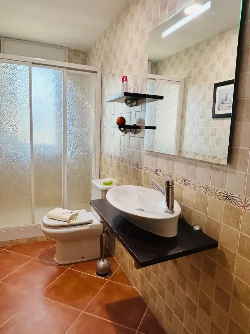 Bany de Casa o xalet en venda en Serranillos del Valle amb Aire condicionat, Calefacció i Jardí privat