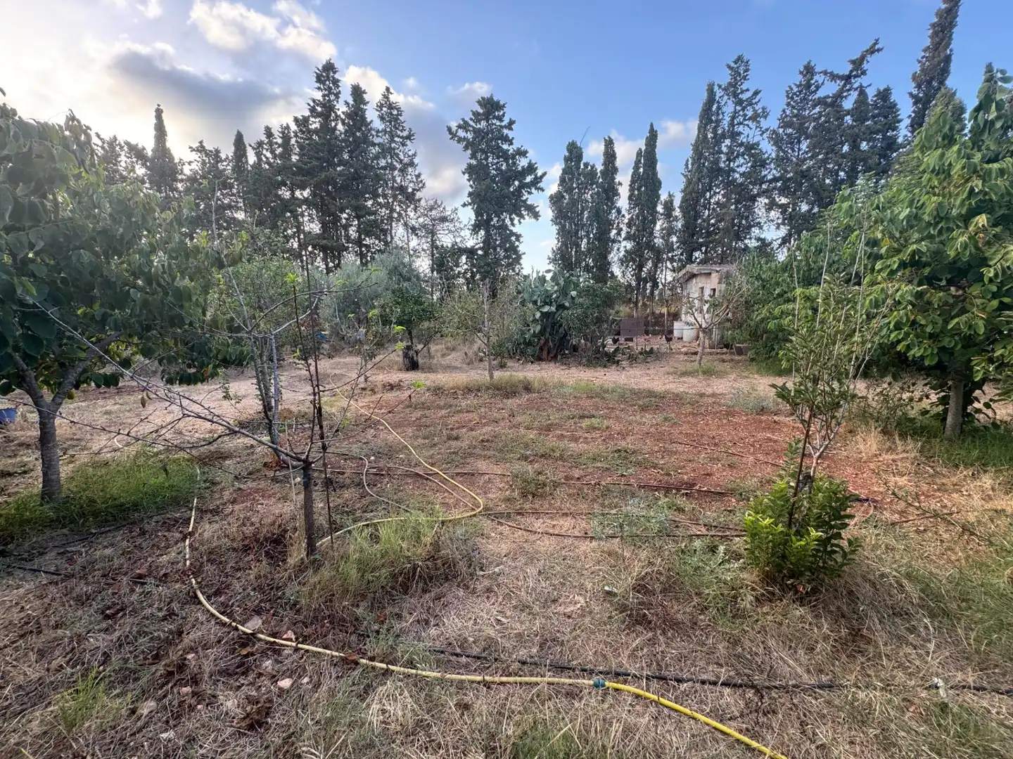 Finca rústica en venta en  Palma de Mallorca con Jardín privado, Terraza y Trastero
