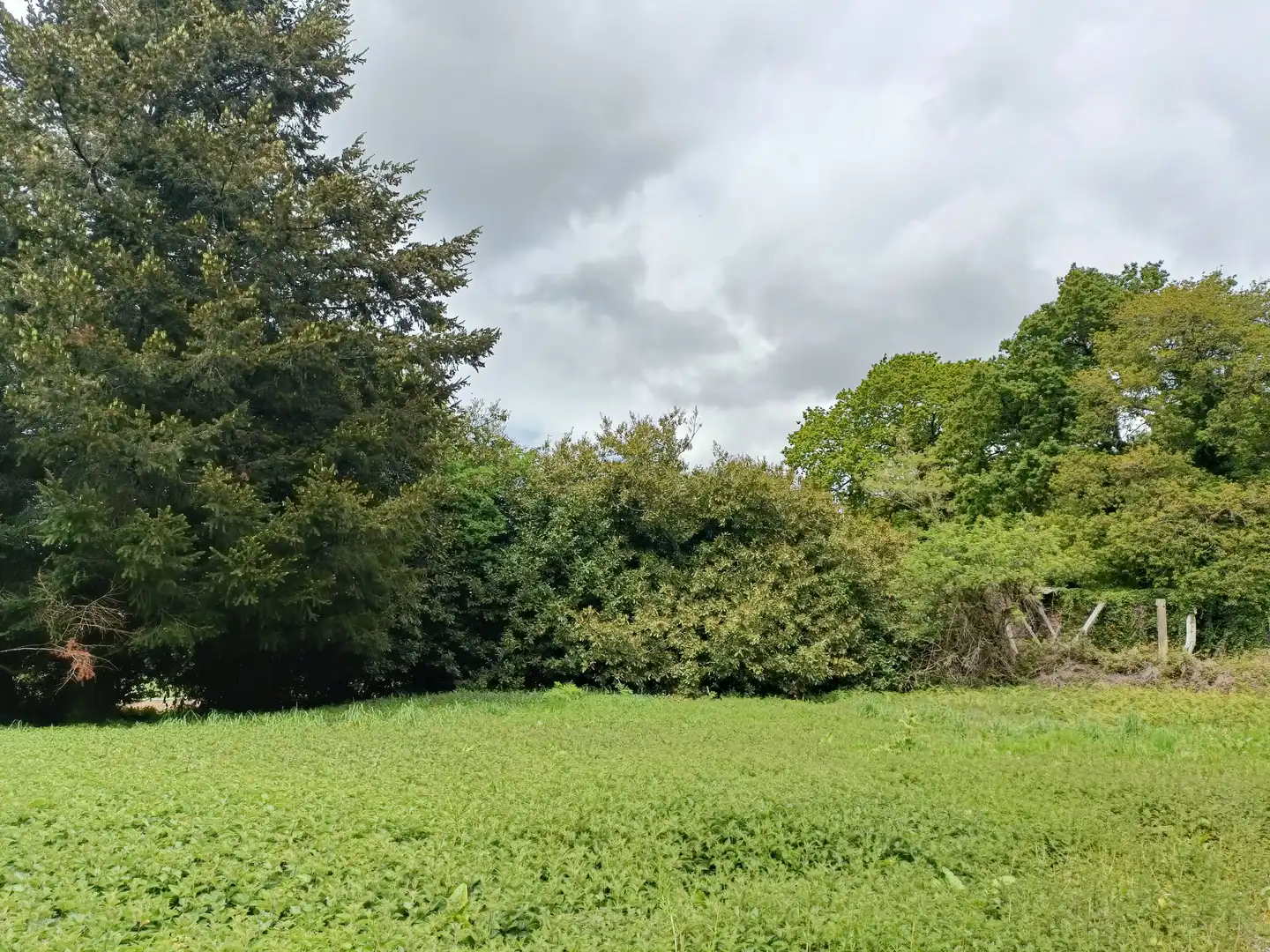Casa o xalet en venda en Aranga amb Jardí privat i Traster