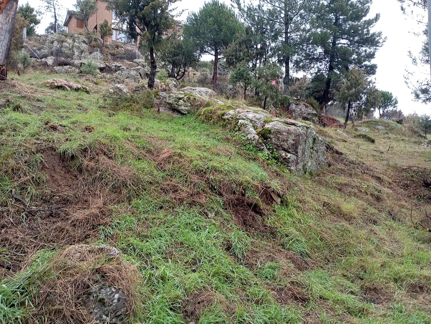 Terreni e lotti in vendita a Robledo de Chavela, imagen 34