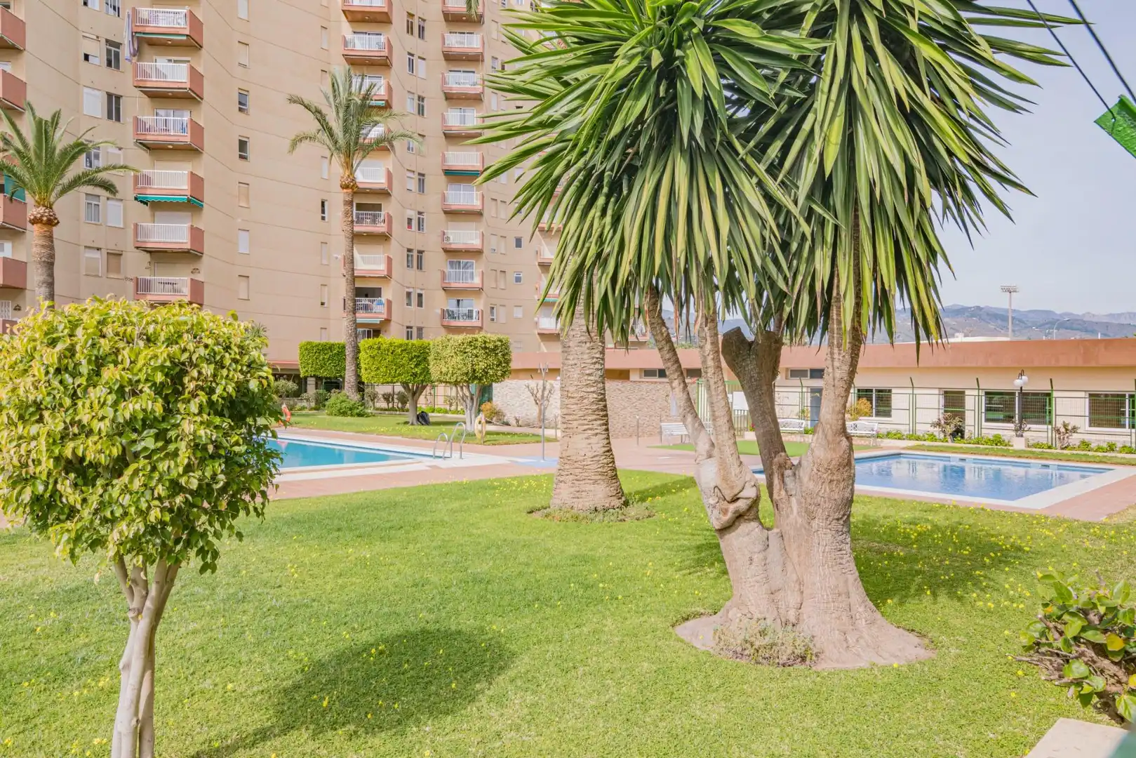 Apartamento con piscina en venta en Paseo REINA SOFIA 3, imagen 35