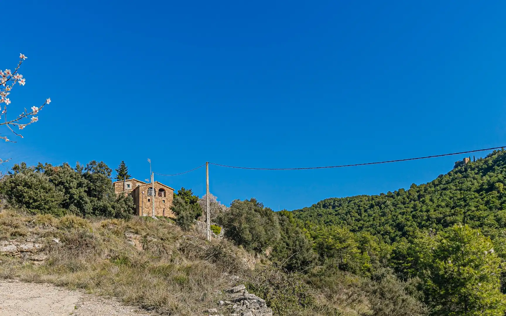 Vista exterior de Finca rústica en venta en Navès con Calefacción, Jardín privado y Terraza
