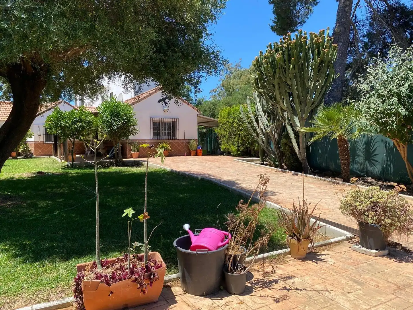 Jardí de Casa o xalet en venda en Los Barrios amb Jardí privat, Terrassa i Traster