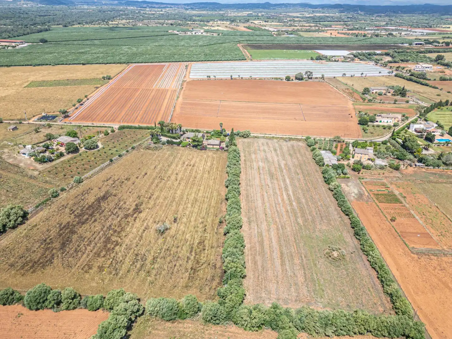 Rural land for sale in Felanitx Poble, imagen 27