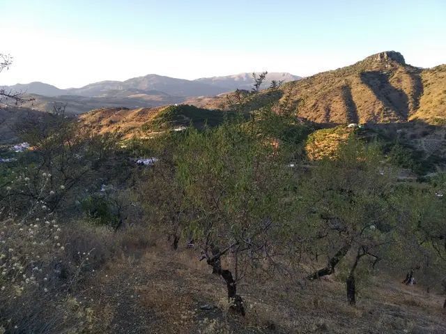 Exterior view of Country house for sale in Benamargosa