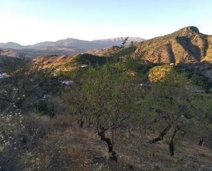 Vista exterior de Finca rústica en venda en Benamargosa