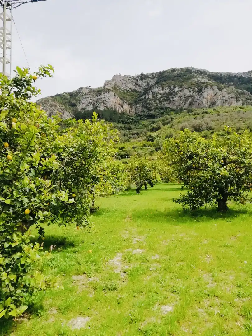 Terreno rústico en venta en Xaló, imagen 9