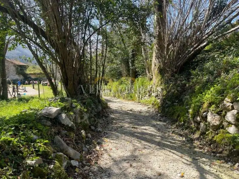 Terreno residencial en venta en Piñeres de Pría, imagen 12