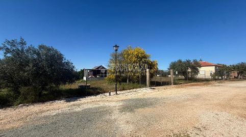 Foto 2 de Finca rústica en venta en Urbanización Santa Elo, Arahal, Sevilla