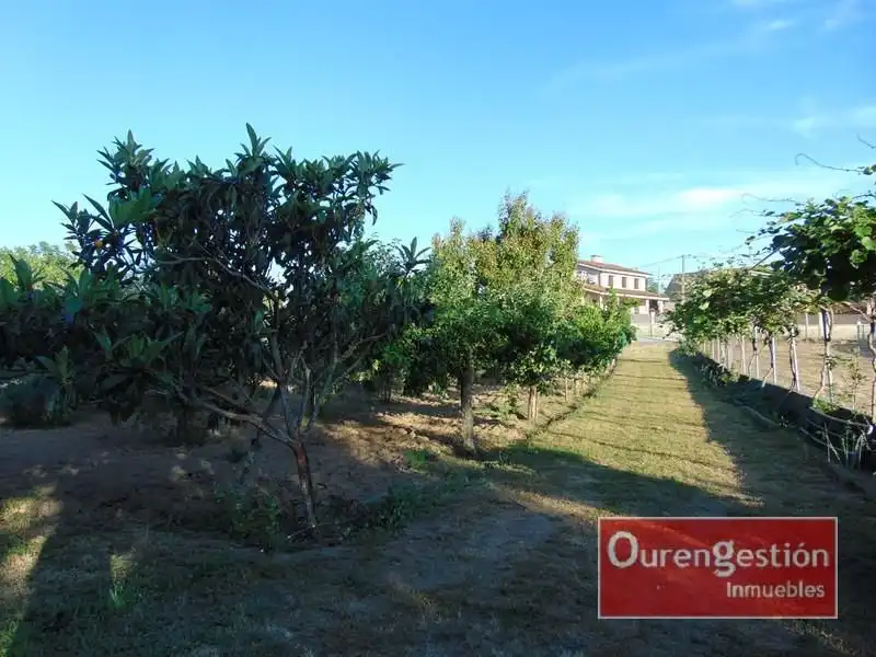Terreni e lotti in vendita a San Cibrao das Viñas, imagen 13