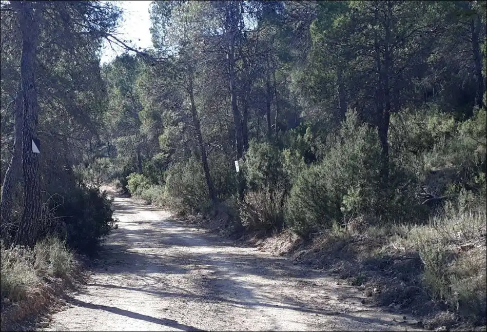 Rustikales Grundstück zum Verkauf in PARAJE LOS HERMANILLOS Nº ., imagen 3