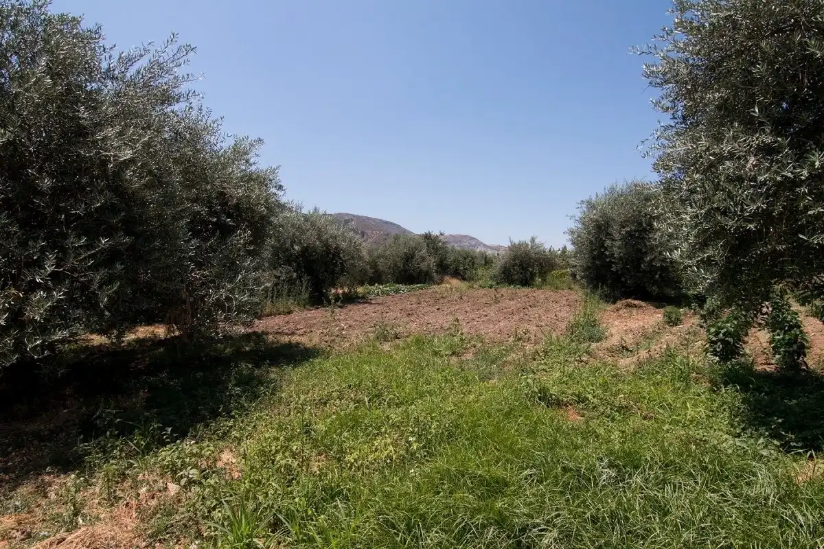 Finca rústica en venta en Güéjar Sierra con Jardín privado, Terraza y Piscina