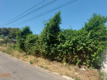 Terreno rústico en venta en Carrer de Bolívia, 51 51