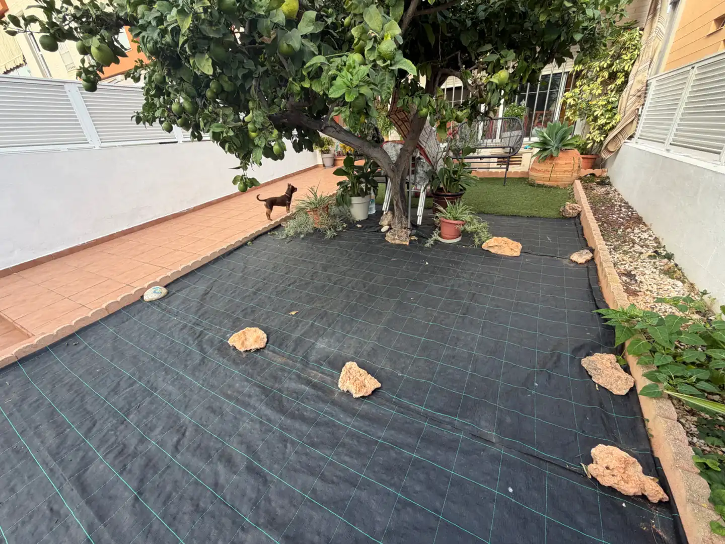 Maison jumelée à vendre à Carrer Llavanera, imagen 4