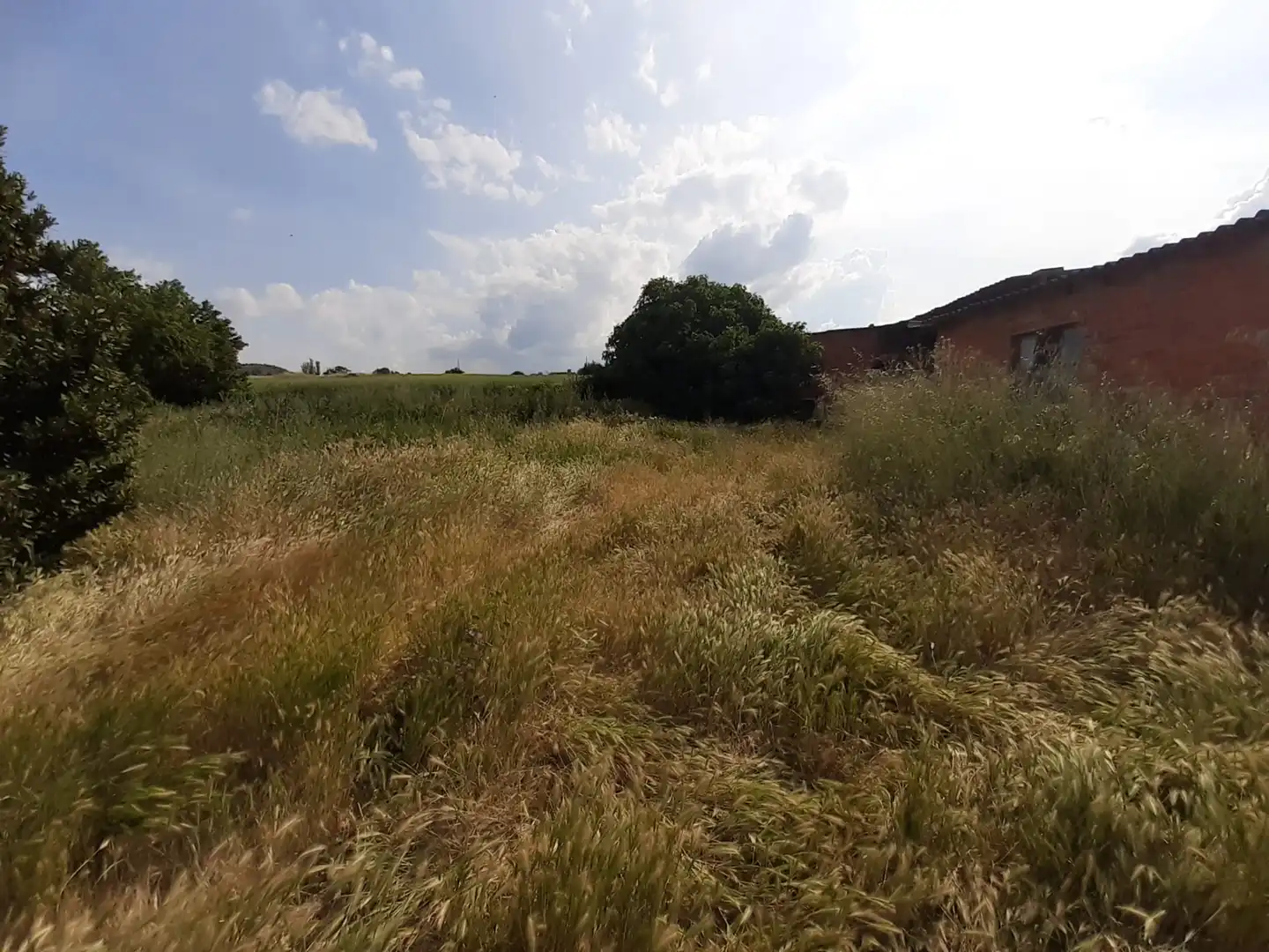 Casa o chalet en venta en Santa Clara de Avedillo