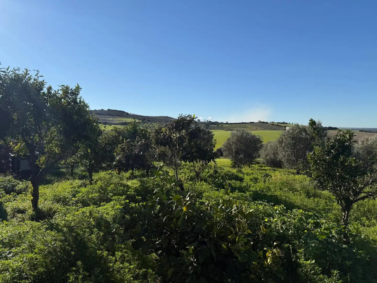 Country homes for sale in Arcos de la Frontera