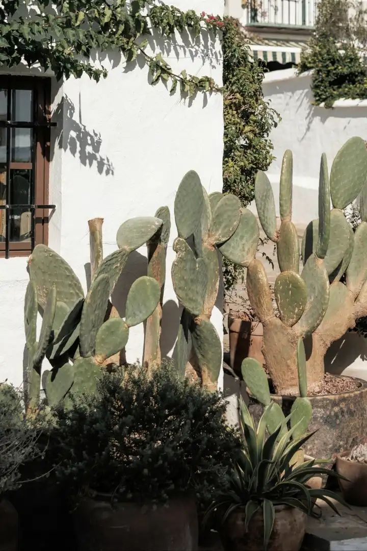 Casa a schiera in vendita a Nueva Andalucía, imagen 42