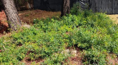 Terreno en Can Villalba, immagine 3