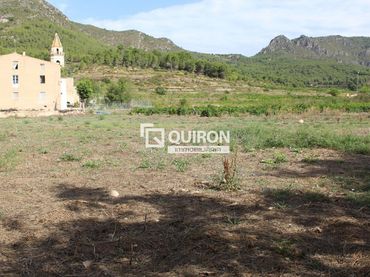 Terreny rústic en venda a El Montmell