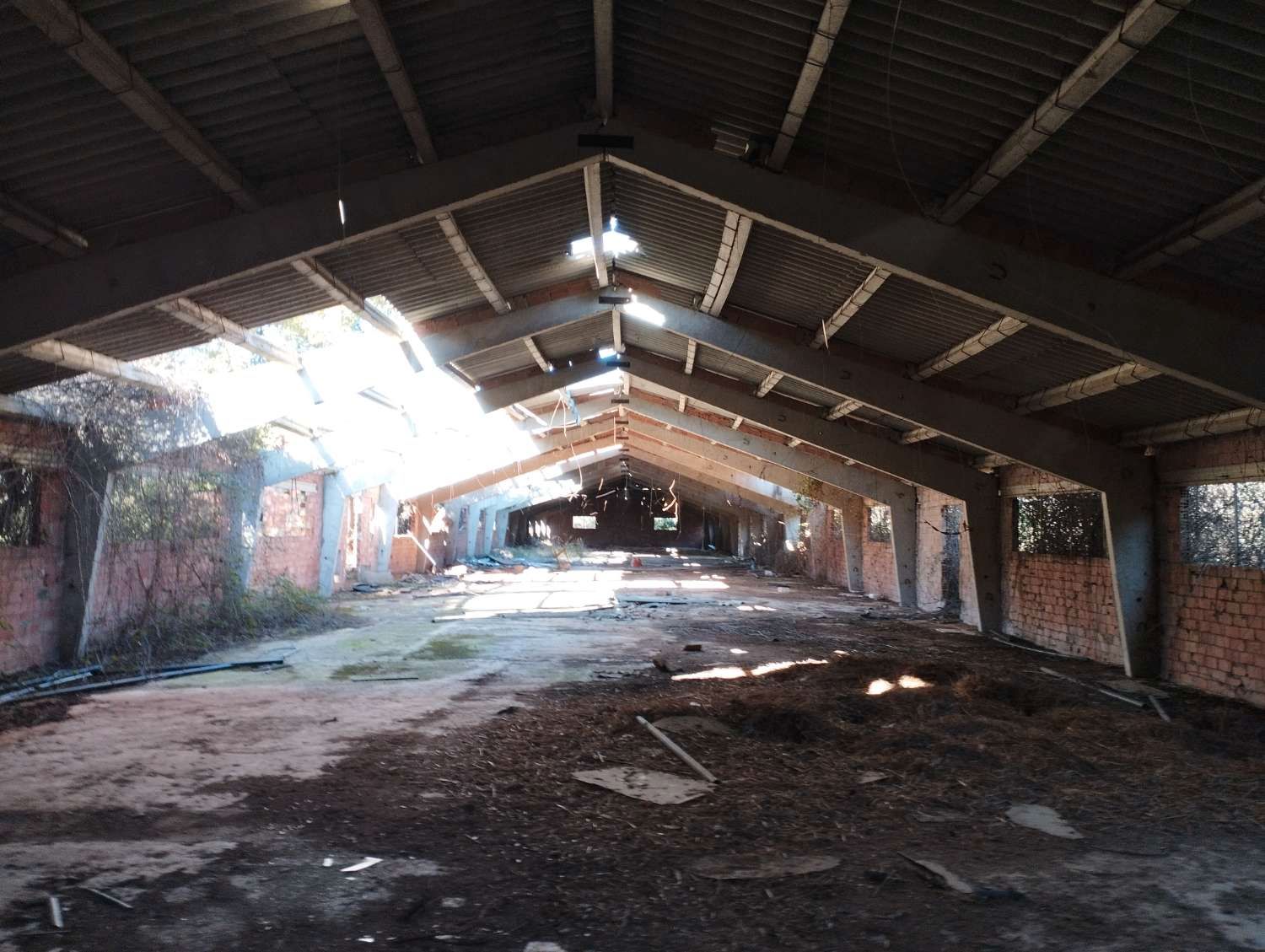 Nau industrial en venda en Cabañas Raras