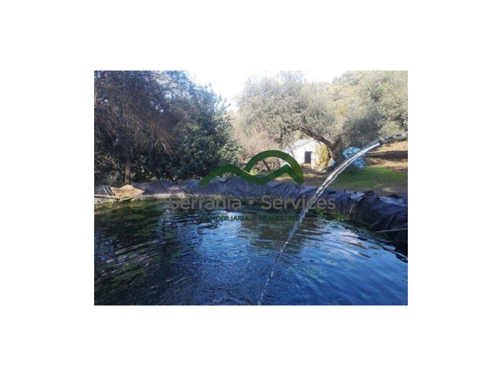 Garden of Country house for sale in Genalguacil