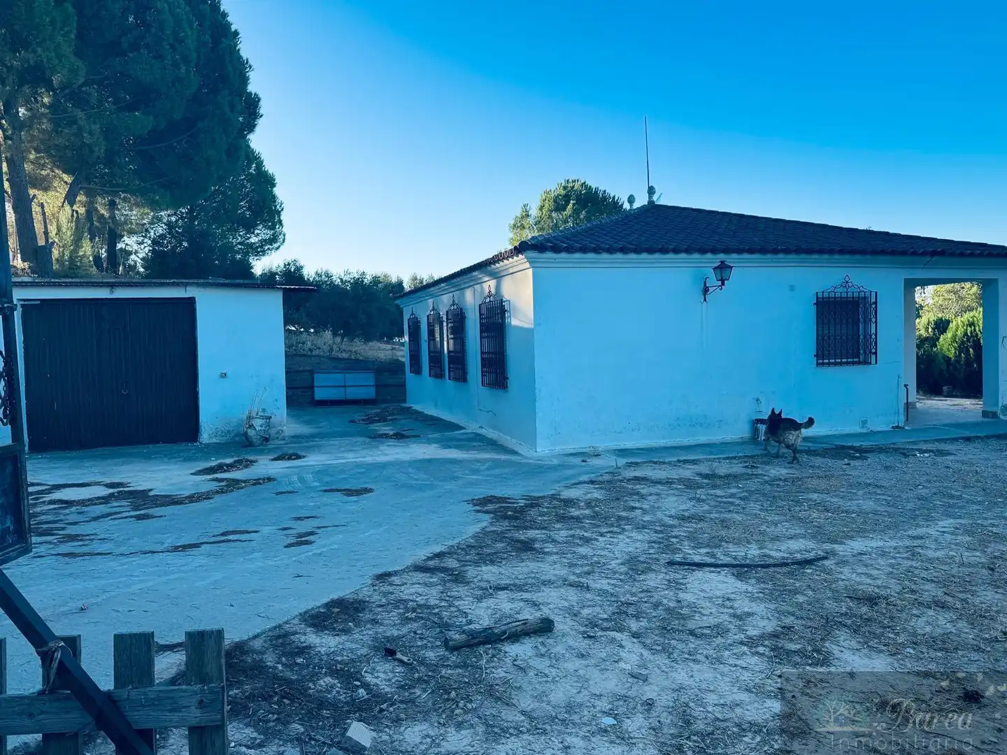 Villa mit Pool zum Verkauf in Rute, imagen 5