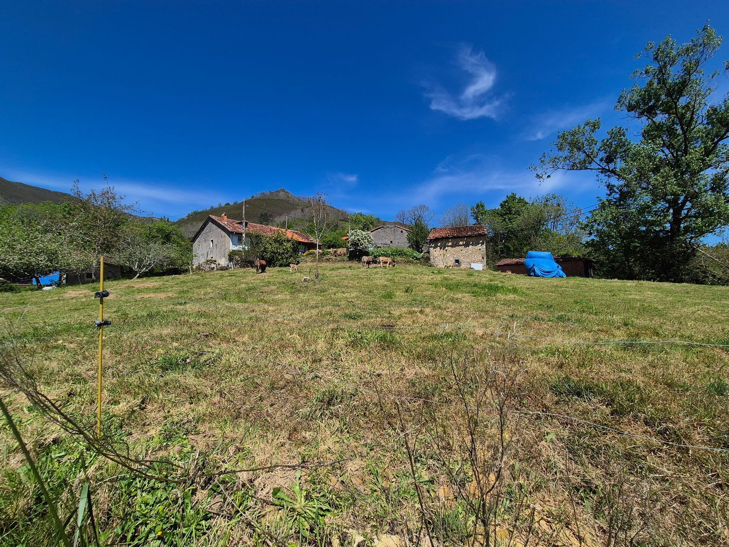 Residential for sale in Cangas de Onís