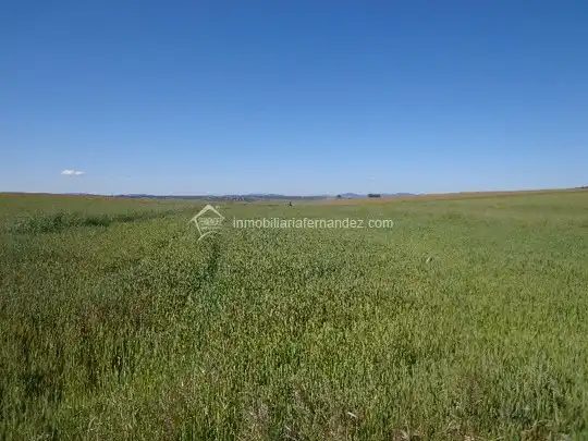 Terreni e lotti in vendita a Valdesalor - Rincón de Ballesteros