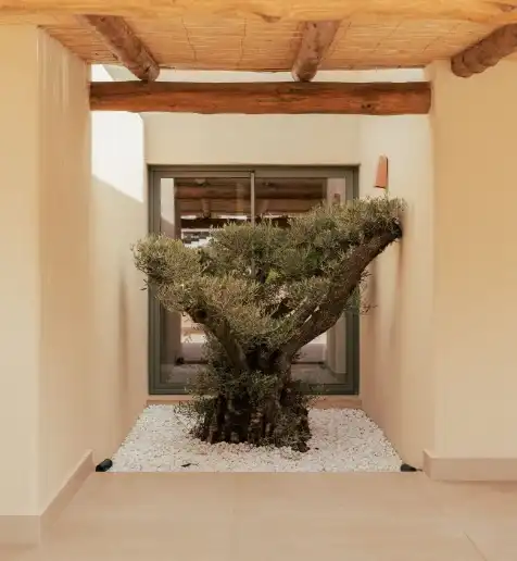 Villa avec piscine à vendre à Centro ciudad, imagen 6
