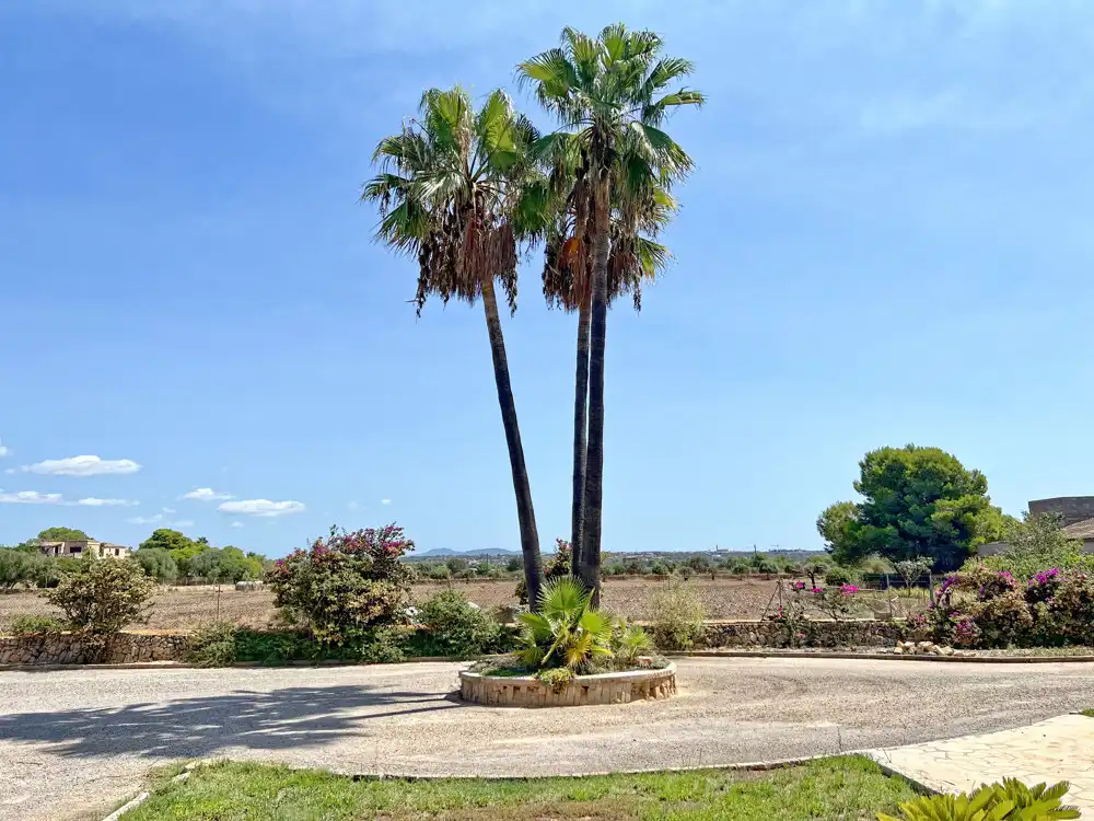 Vista exterior de Casa o xalet en venda en Ses Salines amb Aire condicionat, Calefacció i Terrassa
