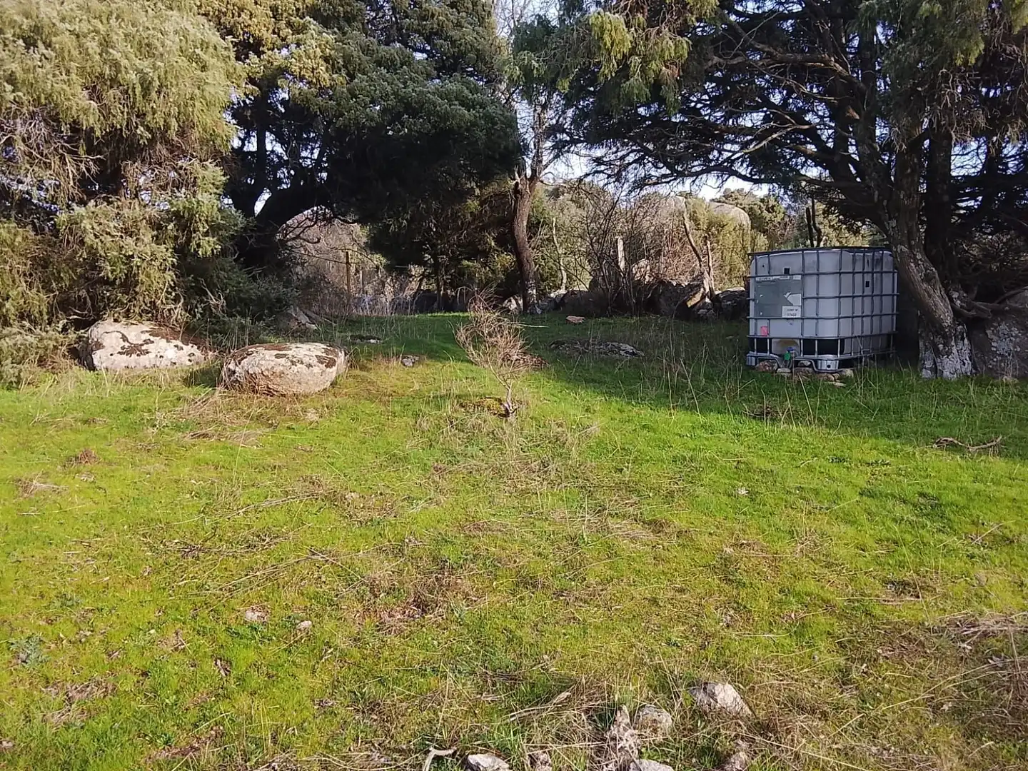 Terreno rustico in vendita a Fresnedillas de la Oliva, imagen 9