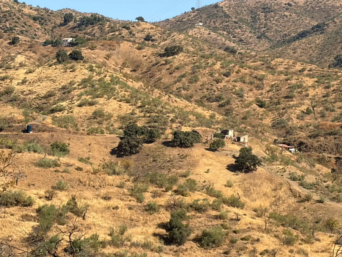 Terreno rustico in vendita a Sexmo, imagen 8