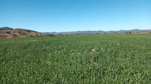 Foto 4 de Terreno en venta en Alcaraz, Albacete