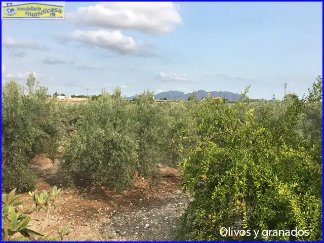 Country homes for sale in Fortuna  with Air Conditioner, Private garden and Terrace