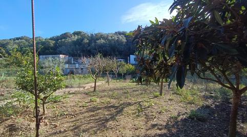 Photo 3 of Land for sale in Es Grau - Serra Morena, Illes Balears