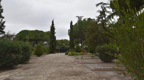 Photo 4 of Houses for sale in Fuente El Saz de Jarama, Madrid