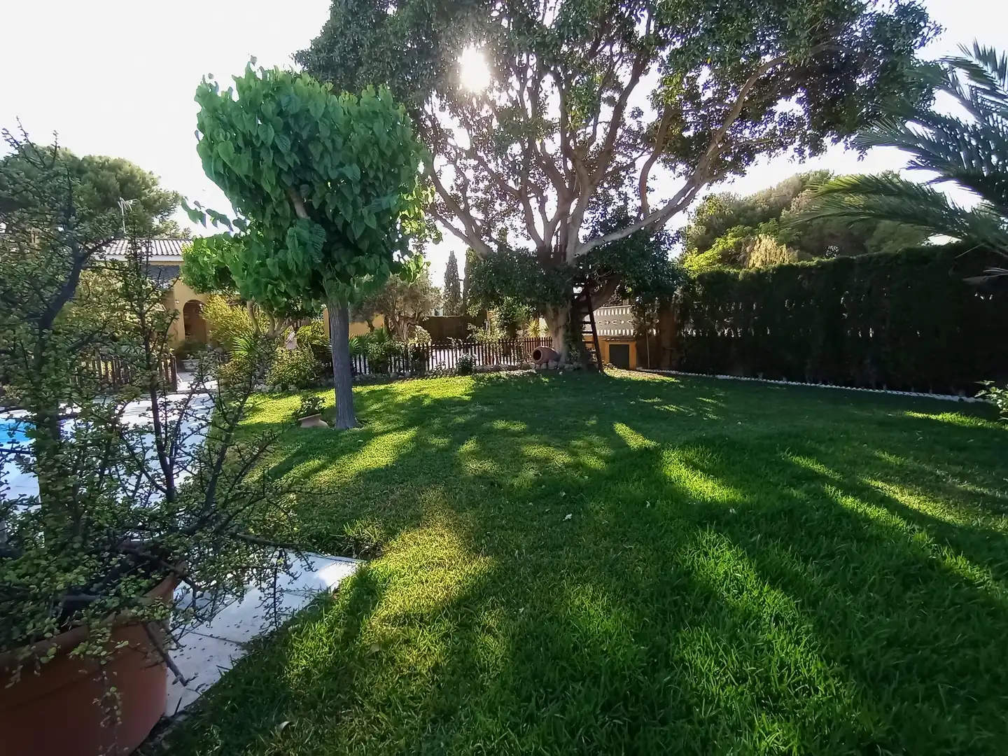 Jardí de Casa o xalet en venda en Mutxamel amb Calefacció, Jardí privat i Traster