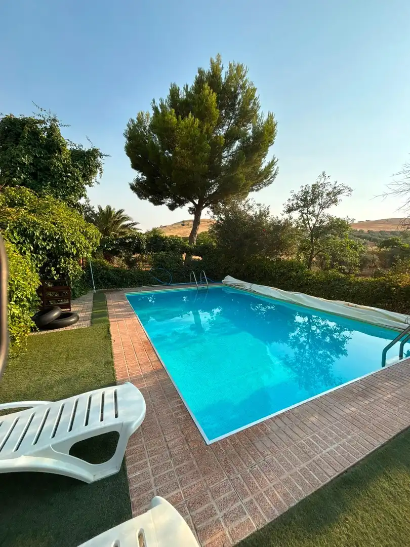 Piscina de Casa o xalet en venda en Valdepeñas