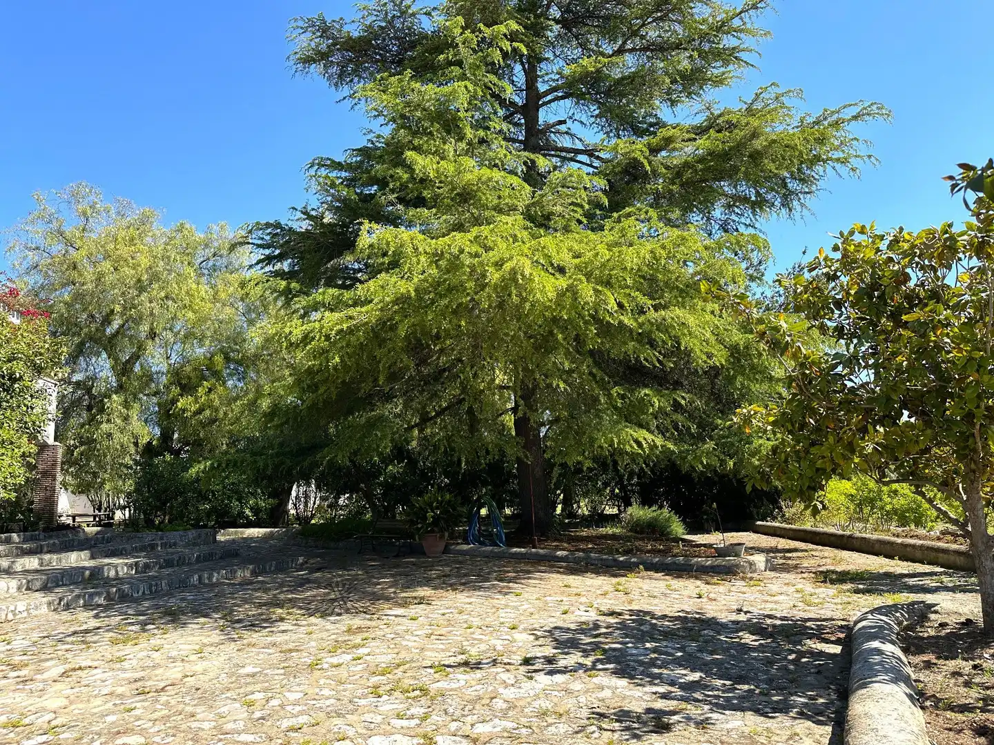 Casa amb jardí en venda a Santa Ana, imagen 16