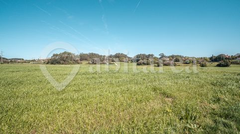 Foto 3 de Terreno en venta en Barrio la Maza, Escobedo, Camargo