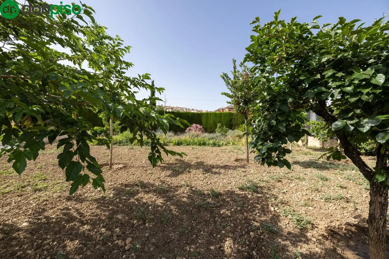 Lands and plots for sale in Calle Carretera Nueva 3, imagen 12