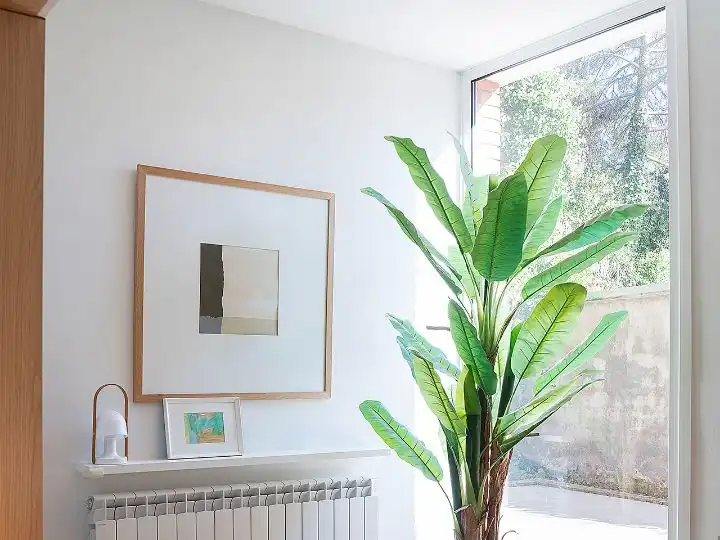 Maison avec jardin à vendre à C/ Canal de l'estret 6, imagen 11
