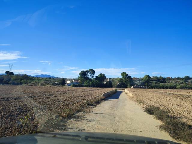 Terreno en Alquiler en N/A en Los Felipes - Corral de Carmelo