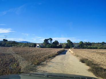 Terreno rustico in affitto a Los Felipes - Corral de Carmelo